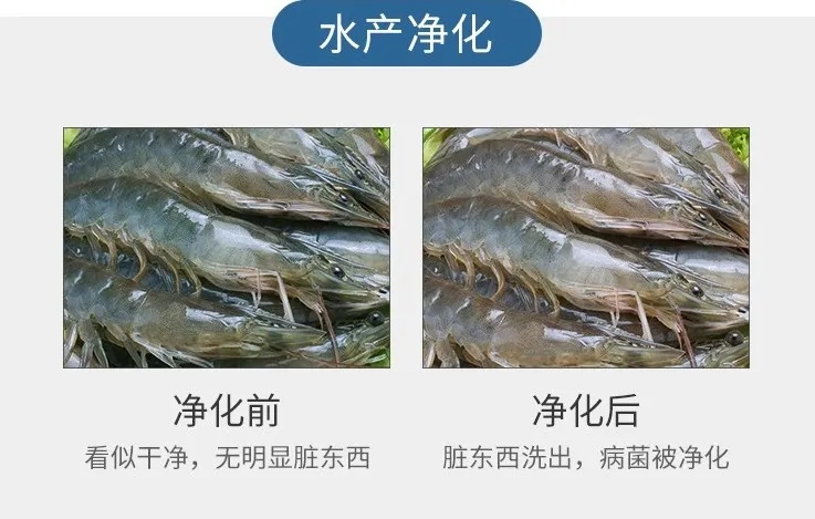 海鮮凈化
